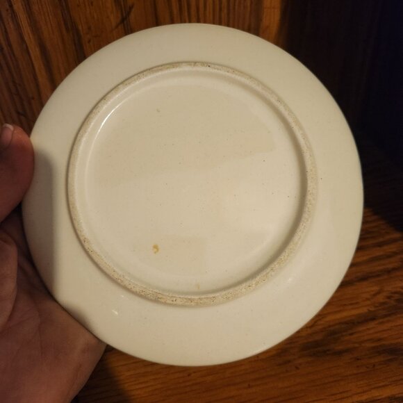 Vintage Devil Egg Tray Parsley, Sage, Rosemary and Thyme Theme - Picture 4 of 4